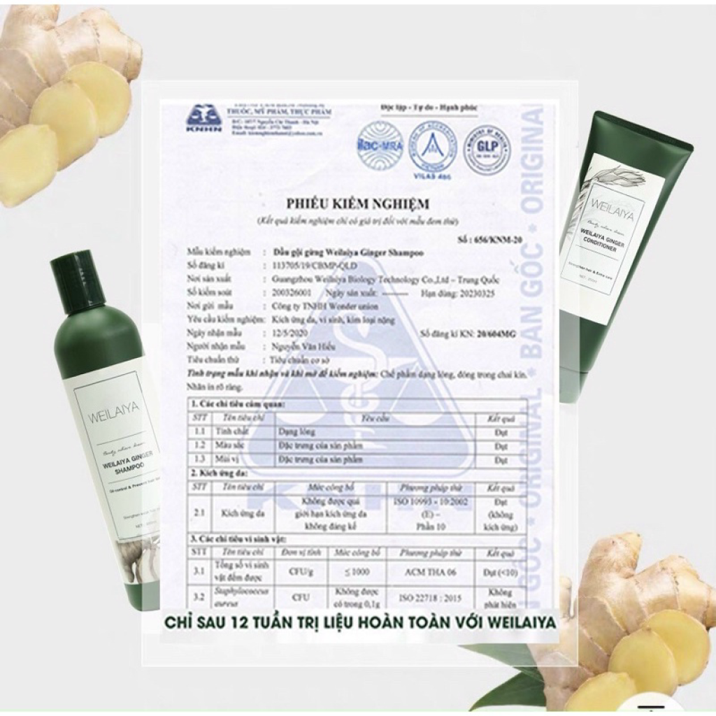 Combo Bộ Dầu Gội Xả Gừng Hà Thủ Ô và Tinh Chất Serum Huyết Thanh Kích Mọc Tóc Weilaiya