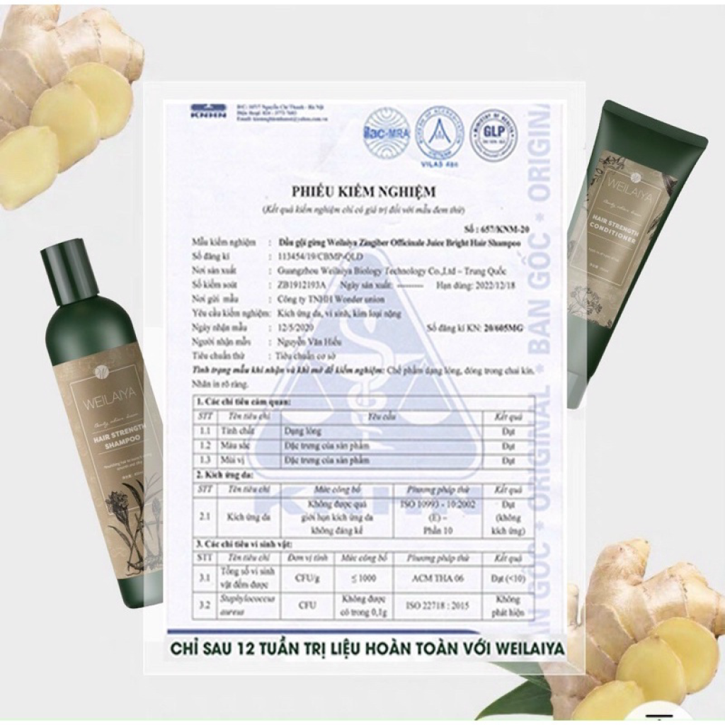 Combo Bộ Dầu Gội Xả Gừng và Tinh Chất Serum Huyết Thanh Kích Mọc Tóc Weilaiya