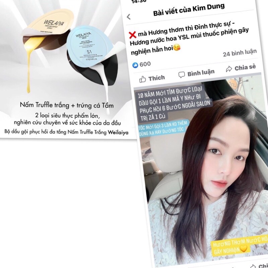 Dầu Gội Phục Hồi Tóc Hư Tổn Khô Sơ Chẻ Ngọn Sạch Gàu Bóng Mượt Đa Tầng Nấm TRUFFLE WEILAIYA MINI TEST