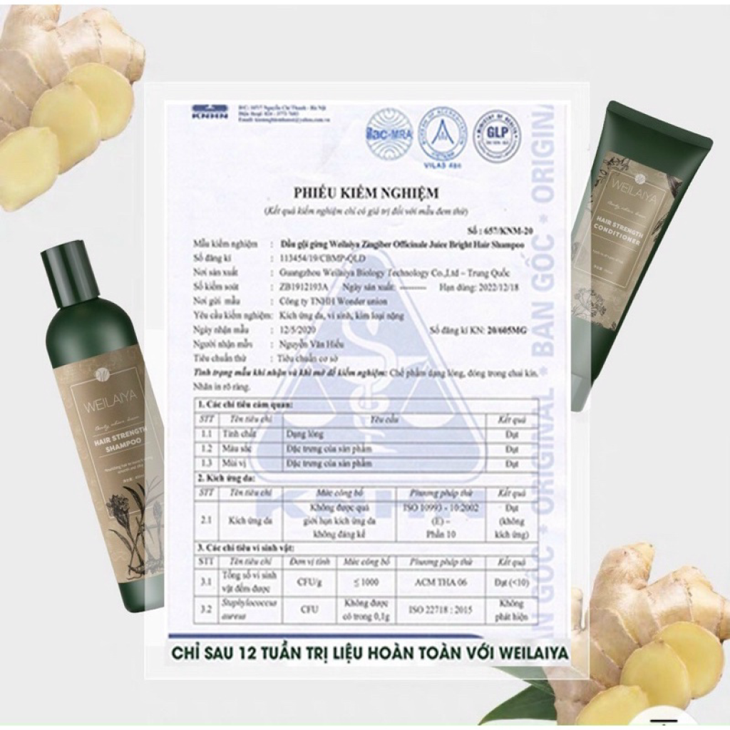 TEST MINI Dầu Gội Gừng, Gừng Hà Thủ Ô Weilaiya Giảm Rụng Tóc, Kích Mọc Tóc Nhanh Hợp Mọi Da Đầu ( gội 20ml + xả 20ml)