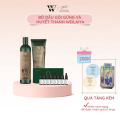 Combo Bộ Dầu Gội Xả Gừng và Tinh Chất Serum Huyết Thanh Kích Mọc Tóc Weilaiya
