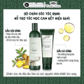 TEST MINI Dầu Gội Gừng, Gừng Hà Thủ Ô Weilaiya Giảm Rụng Tóc, Kích Mọc Tóc Nhanh Hợp Mọi Da Đầu
